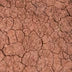 Bentonite Clay