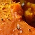 Pumpkin Puree
