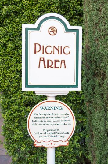 Report From The Kitchen #10 - According to Prop 65 The Disneyland Picnic Area Could Kill You (And The Wonders Of Bentonite Clay)