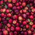 Apple Cider Vinegar
