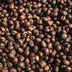 Jojoba Oil