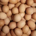 Pasture-Raised Eggs